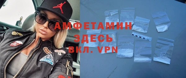 гидра Алексеевка
